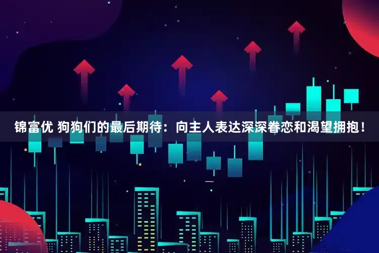 锦富优 狗狗们的最后期待：向主人表达深深眷恋和渴望拥抱！