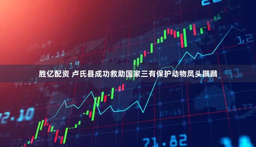 胜亿配资 卢氏县成功救助国家三有保护动物凤头鸊鷉